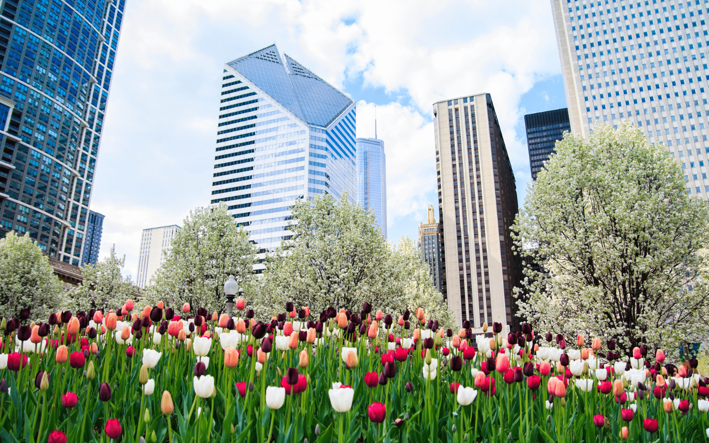 Spring Flower Shows Chicago in May